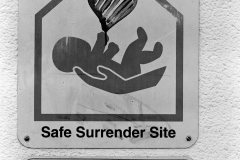 Safe-Surrender