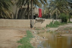Iraq-_01981